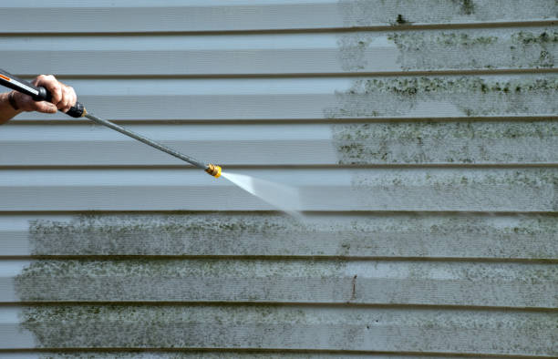 Animal Enclosure Cleaning in Buckhorn, CA